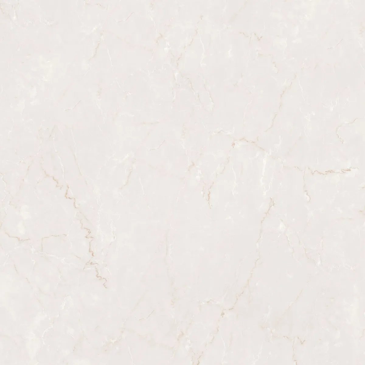 Bottonica Bianco