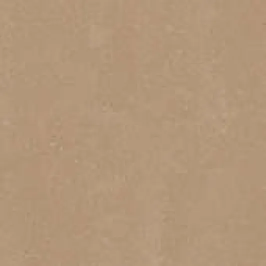 Concita Ocre