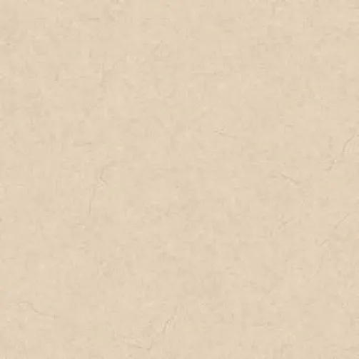 Desert Ivory