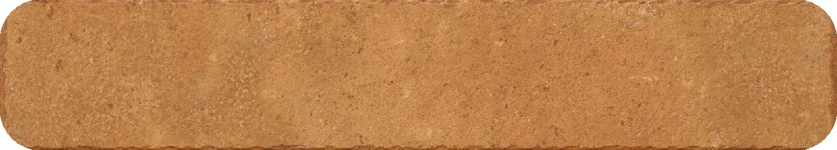 Lithic Coral