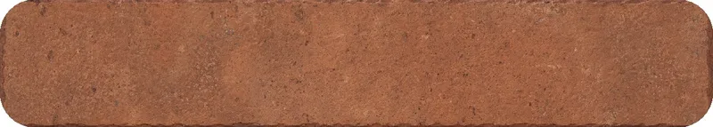 Lithic Sepia