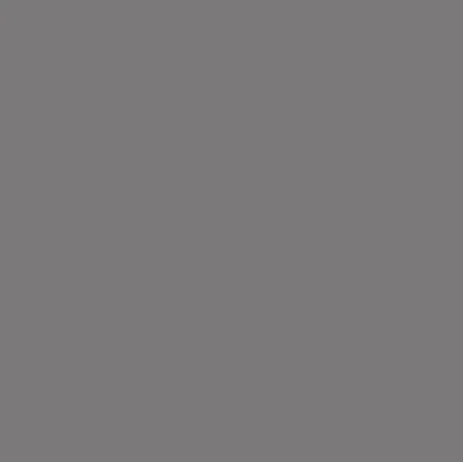 Neptune Graphite