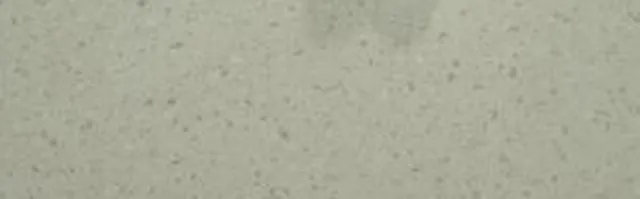 Terrazzo Claro